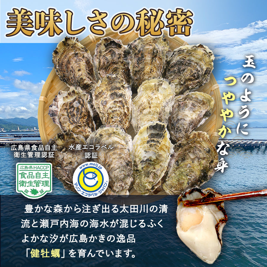 【健牡蠣】牡蠣の瓶詰め3種(オイル漬け、燻製オイル漬け、生姜煮)