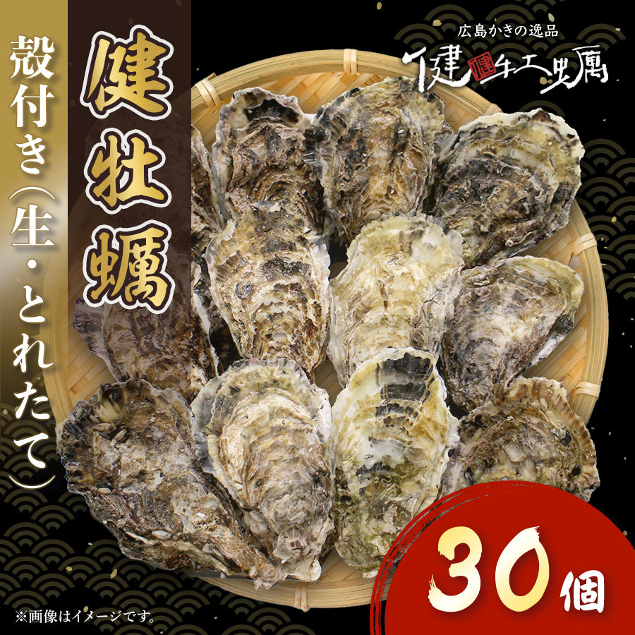 【健牡蠣】生牡蠣殻付き30個