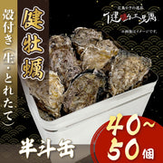 【健牡蠣】生牡蠣殻付き半斗缶(40〜45個)