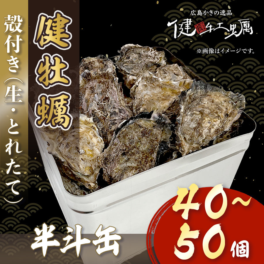 【健牡蠣】生牡蠣殻付き半斗缶(40〜45個)