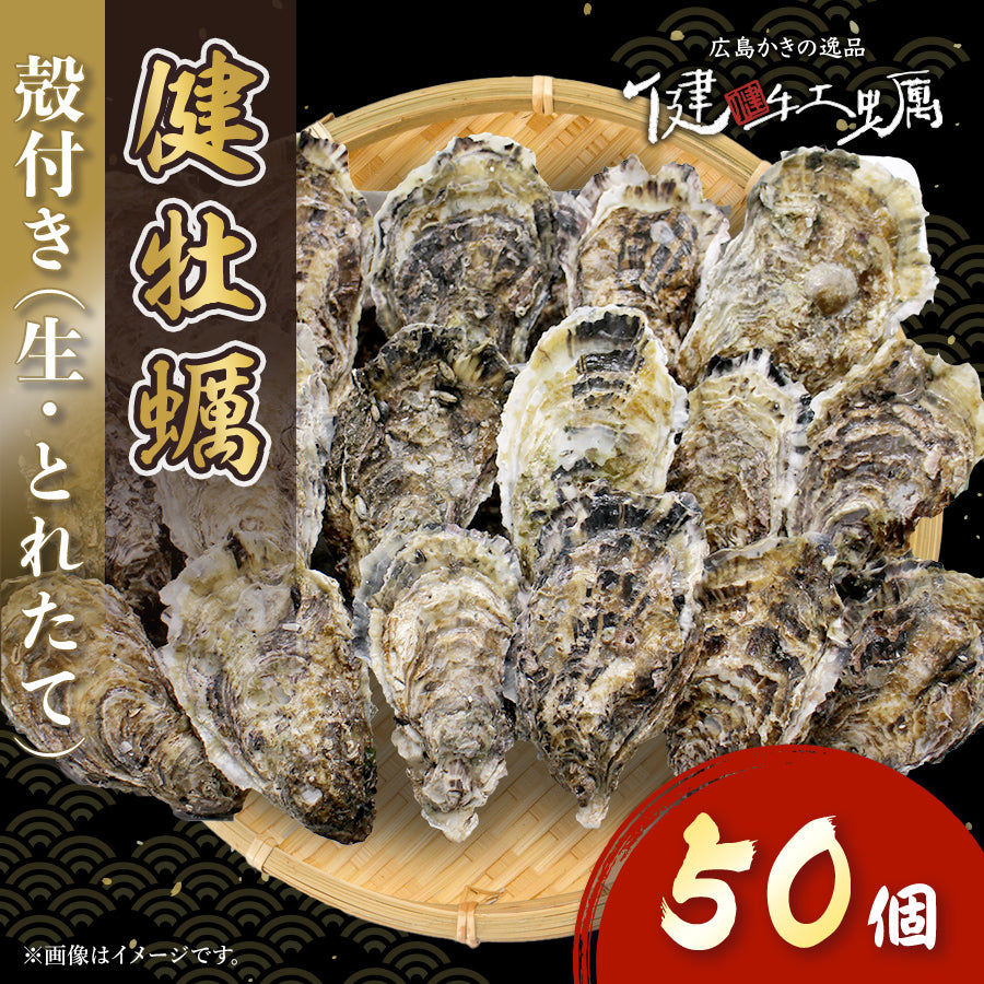 【健牡蠣】生牡蠣殻付き50個