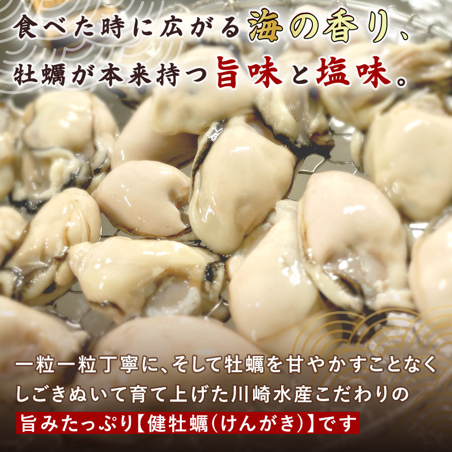 健牡蠣】生牡蠣殻付き100個 – 【健牡蠣】広島かきの逸品-川崎